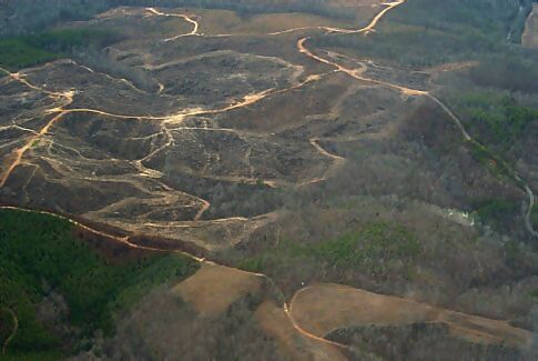Clearcut on private land in Alabama