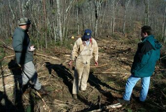 Forwarder trail
